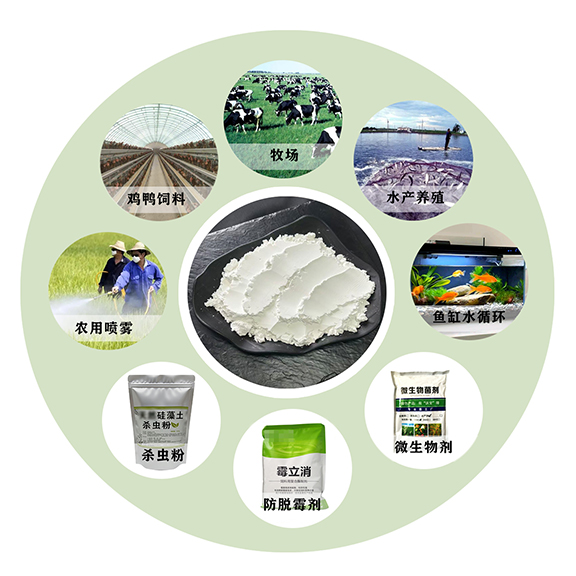 1774678228745428.jpg 硅藻土3.jpg