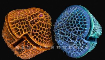 硅藻土的理化特性有哪些？[森大硅藻土]