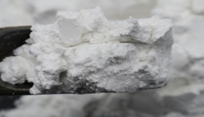河北硅藻土厂家在哪里-SD配方 批量定制[森大硅藻土]