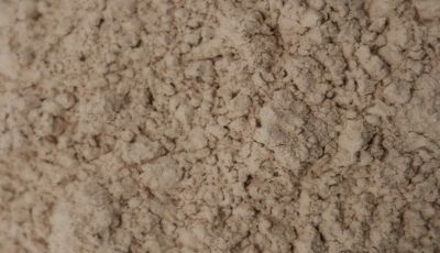 可以直接食用的硅藻土-食品级环保无毒低铁产品-[森大硅藻土]