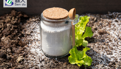 探秘硅藻土吸附魔法，森大硅藻土引领环保新潮流